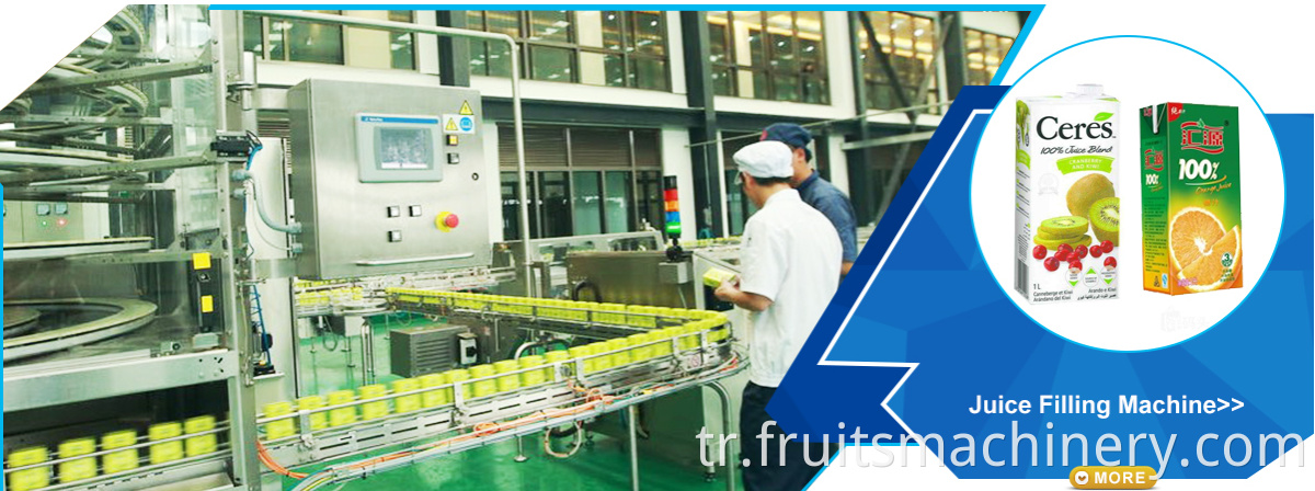 dry pulverizer machine for a fruits and vegetable fruit drying machine